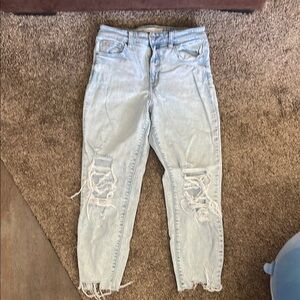 Eunina Blue Ankle Cropped Jeans with Distressed Details